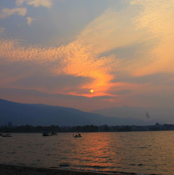 Meet your Posher, Karyn - Picture 1 of 1